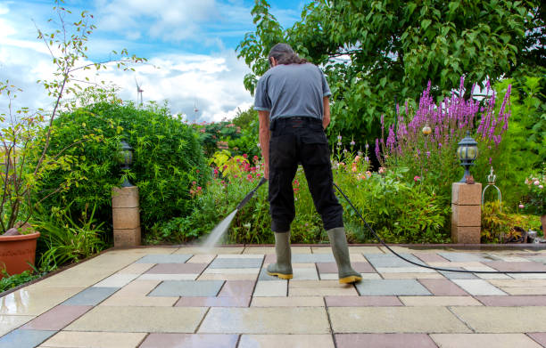 Best Winterizing Services  in Millington, NJ